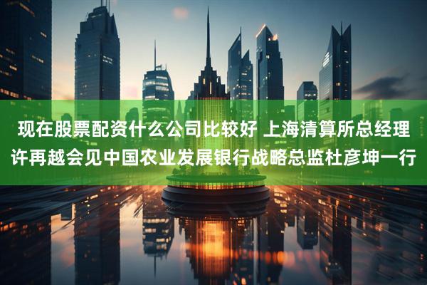 现在股票配资什么公司比较好 上海清算所总经理许再越会见中国农业发展银行战略总监杜彦坤一行
