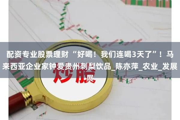 配资专业股票理财 “好喝！我们连喝3天了”！马来西亚企业家钟爱贵州刺梨饮品_陈亦萍_农业_发展